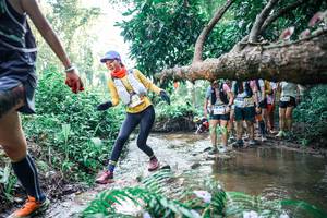 BIB: 
                            <button type="button" onclick="openModal(25467335)" class="btn btn-primary btn-sm float-right btn-popup" data-toggle="modal" data-target=".modal-high-quality">
                        <i class="fas fa-shopping-cart"></i> Add to Cart
                    </button>
                                            <button type="button" onclick="isThisMe(25467335, true)" class="btn btn-success btn-sm float-right btn-popup btn-isme hidden" data-toggle="tooltip" data-placement="bottom" title="นี่คือรูปของคุณใช่ไหม คลิกที่นี่เพื่อเอาเข้าอัลบั้ม">
                        <i class="fas fa-plus"></i> Add to album
                    </button>
                    <button type="button" onclick="isThisMe(25467335, false)" class="btn btn-warning btn-sm float-right btn-popup btn-isnotme hidden">
                        <i class="fas fa-ban"></i> Remove from album
                    </button>